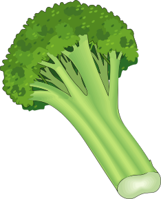 Broccoli PNG-72892